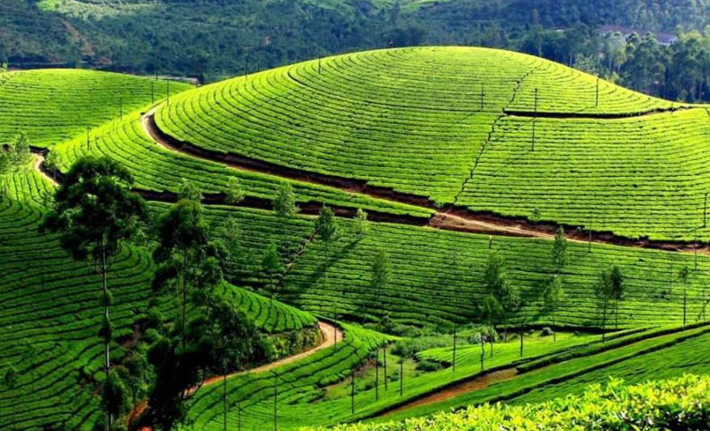 Araku Valley