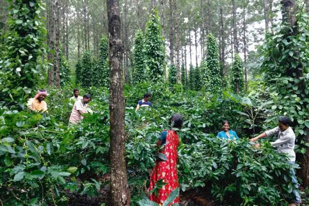 Araku Valley