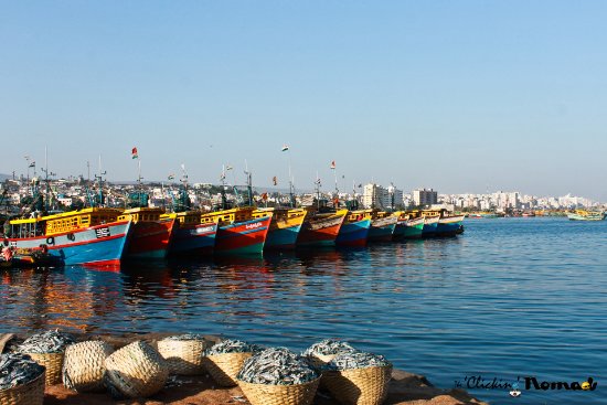 Fishing Harbour